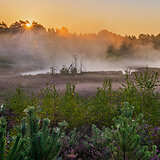Sunrise at the heathlands